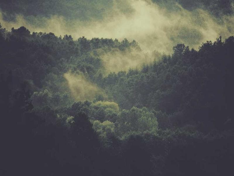 Sumi-e Landscape
